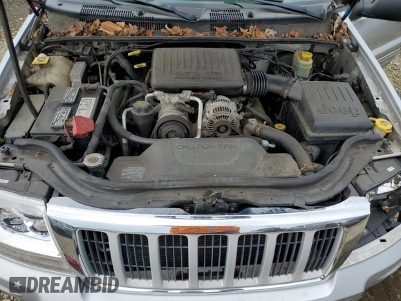 2004 Jeep Grand Cherokee Limited with VIN 1J4GW58N64C174387, listed as a Copart auction lot 43539585 with 138,433 mi miles and Salvage title. Bid and sale history available at DreamBid. Image 12.