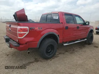 2010 Ford F-150 XL with VIN 1FTFW1EV5AFD92782, listed as a Copart auction lot 56856665 with 163,169 mi miles and Salvage title. Bid and sale history available at DreamBid. Image 3.