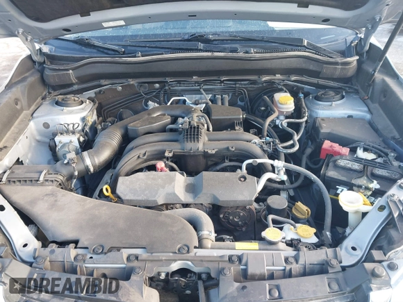 2017 Subaru Forester with VIN JF2SJABC0HH460602, listed as a IAAI auction lot 41856289 with 144,389 mi miles and . Bid and sale history available at DreamBid. Image 10.