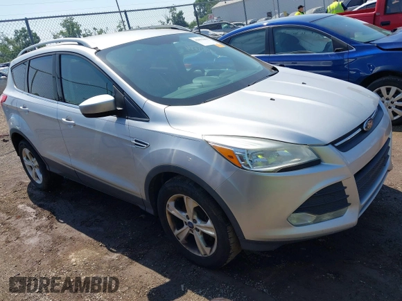 2013 Ford Escape SE z VIN 1FMCU0GX4DUA52665, wystawiony jako IAAI lot #42815684 z przebiegiem 248 336 mil mil oraz . Historia ofert i sprzedaży dostępna na DreamBid. Obrazek 1.