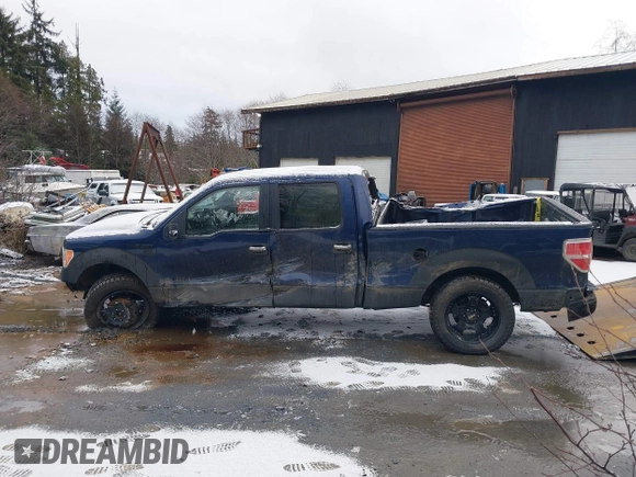 2010 Ford F-150 XL with VIN 1FTFW1EV7AFB50429, listed as a IAAI auction lot 40956419 with 1 mi miles. Bid and sale history available at carsss.com. Image 11.