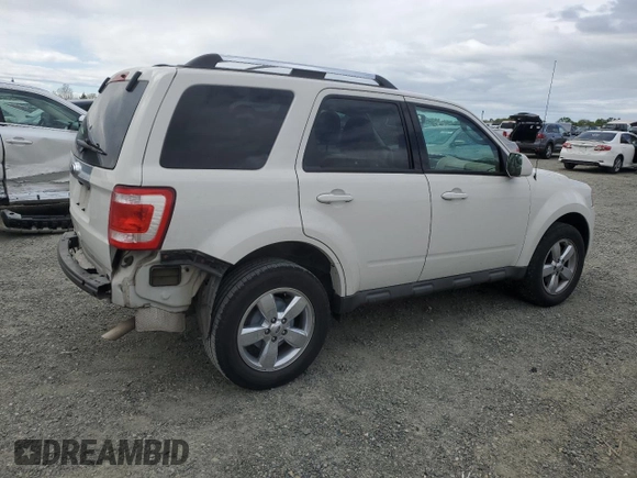2010 Ford Escape Limited with VIN 1FMCU0E74AKC89196, listed as a Copart auction lot 50990585 with 144,830 mi miles and Salvage title. Bid and sale history available at DreamBid. Image 3.