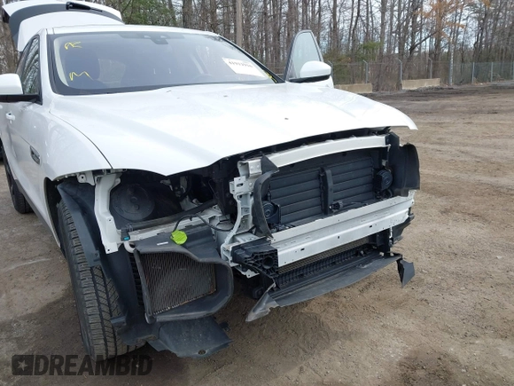 2018 Jaguar F-Pace 25t Premium with VIN SADCJ2FX7JA295057, listed as a IAAI auction lot 41912916 with 58,696 mi miles and . Bid and sale history available at DreamBid. Image 6.
