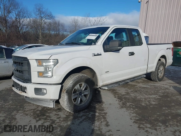 2017 Ford F-150 XL with VIN 1FTEX1EP1HKC49713, listed as a IAAI auction lot 41231172 with 250,679 mi miles. Bid and sale history available at carsss.com. Image 18.