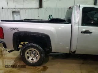 2012 Chevrolet Silverado 1500 Work Truck with VIN 1GCNKPEA8CZ337882, listed as a Copart auction lot 46168385 with 135,594 mi miles and Salvage Title. Bid and sale history available at DreamBid. Image 10.