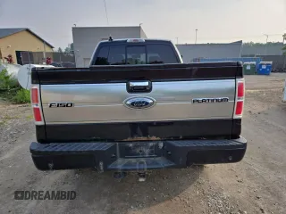 2009 Ford F-150 XL with VIN 1FTPW14V29FB29022, listed as a Copart auction lot 59518745 with 225,701 mi miles and Salvage title. Bid and sale history available at DreamBid. Image 6.