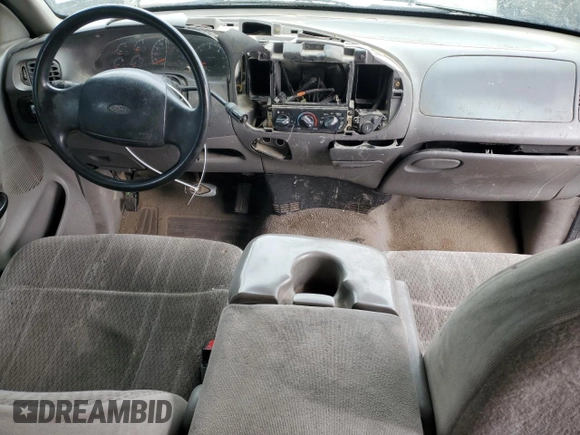 1998 Ford F-150 with VIN 2FTZX0729WCA50004, listed as a Copart auction lot 50028895 with 291,952 mi miles and Salvage title. Bid and sale history available at DreamBid. Image 8.