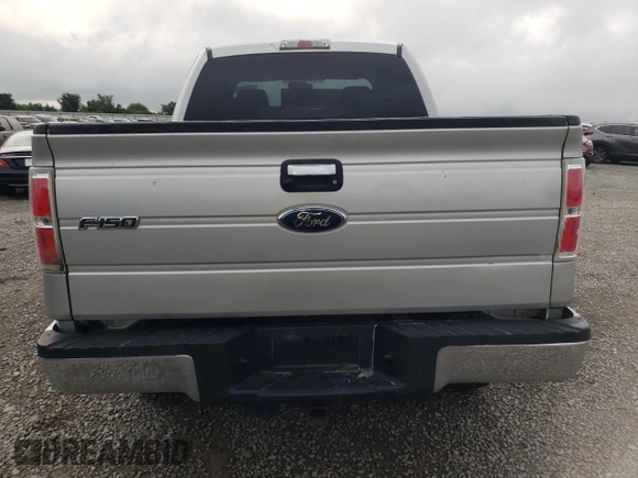 2009 Ford F-150 XLT with VIN 1FTRX14V79FA98856, listed as a Copart auction lot 60135115 with Not provided miles and Salvage title. Bid and sale history available at DreamBid. Image 6.