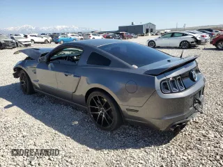 2013 Ford Mustang GT with VIN 1ZVBP8CF3D5246615, listed as a Copart auction lot 53124855 with Not provided miles and Salvage title. Bid and sale history available at DreamBid. Image 2.