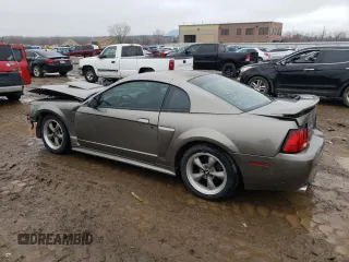 2002 Ford Mustang GT Deluxe with VIN 1FAFP42X02F203595, listed as a Copart auction lot 40194624 with 0 mi miles and Salvage Title. Bid and sale history available at carsss.com. Image 2.