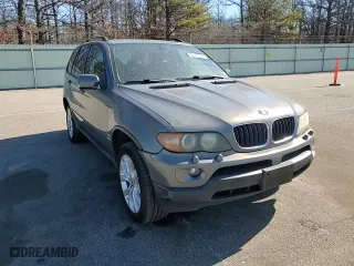 2006 BMW X5 3.0i with VIN 5UXFA13596LY33807, listed as a Copart auction lot 46593215 with 0 mi miles and Salvage Title. Bid and sale history available at carsss.com. Image 12.
