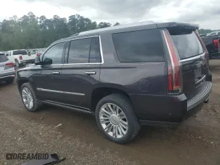 2017 Cadillac Escalade Platinum with VIN 1GYS4DKJ0HR379285, listed as a Copart auction lot 50569605 with 84,819 mi miles and Salvage Title. Bid and sale history available at carsss.com. Image 2.