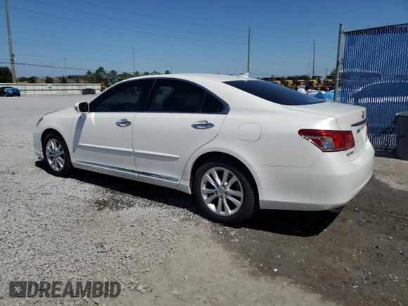 2010 Lexus ES 330 with VIN JTHBK1EGXA2408413, listed as a Copart auction lot 53623055 with 155,573 mi miles and Salvage Title. Bid and sale history available at DreamBid. Image 2.
