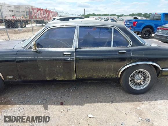 1982 Jaguar XJ with VIN SAJAV1248CC341050, listed as a IAAI auction lot 42653594 with Not provided miles and . Bid and sale history available at DreamBid. Image 14.