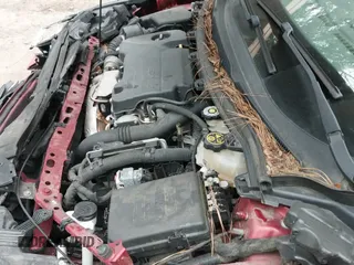 2019 Chevrolet Cruze LT с VIN 3G1BE6SM5KS567080, выставлен на аукционе IAAI как лот 42916378 с пробегом 96 030 миль миль и . История ставок и продаж доступна на DreamBid. Изображение 19.