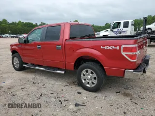 2009 Ford F-150 XL with VIN 1FTRW14839FA56777, listed as a Copart auction lot 55344665 with 217,031 mi miles and Clean title. Bid and sale history available at DreamBid. Image 2.