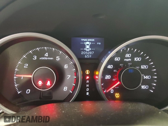 2009 Acura TL Tech with VIN 19UUA86549A018283, listed as a Copart auction lot 51913805 with 205,287 mi miles and Salvage Title. Bid and sale history available at carsss.com. Image 9.