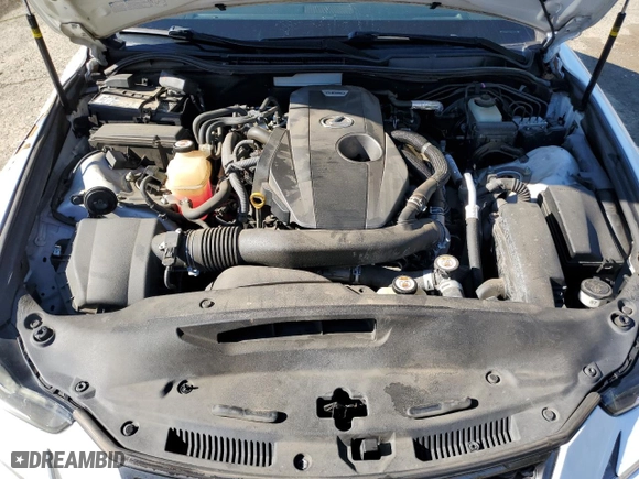 2017 Lexus IS with VIN JTHBA1D23H5049245, listed as a Copart auction lot 45655165 with NaN miles and Salvage Title. Bid and sale history available at carsss.com. Image 11.