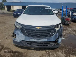 2019 Chevrolet Equinox LS z VIN 3GNAXSEV6KS554727, wystawiony jako Copart lot #56334955 z przebiegiem 226 449 mil mil oraz Czysty tytuł • Clean title. Historia ofert i sprzedaży dostępna na DreamBid. Obrazek 5.