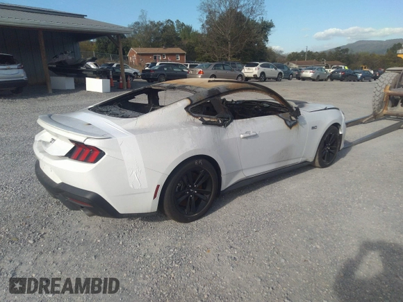 2024 Ford Mustang GT with VIN 1FA6P8CF5R5412439, listed as a IAAI auction lot 40215878 with Not provided miles and . Bid and sale history available at DreamBid. Image 4.