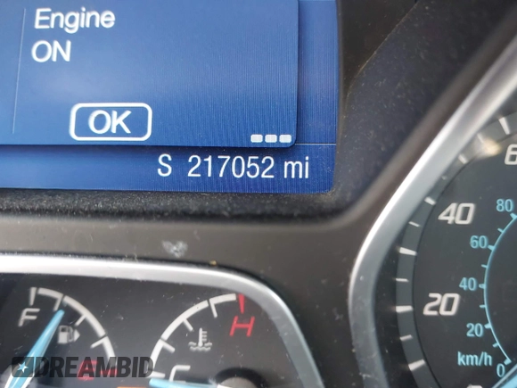 2013 Ford Focus SE with VIN 1FADP3F22DL265312, listed as a IAAI auction lot 41872863 with 217,052 mi miles. Bid and sale history available at carsss.com. Image 7.