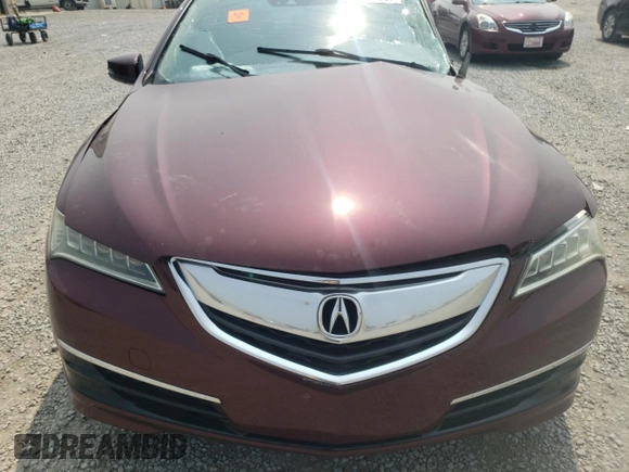 2016 Acura TLX Technology with VIN 19UUB2F55GA010961, listed as a Copart auction lot 59317605 with Not provided miles and Salvage title. Bid and sale history available at DreamBid. Image 11.