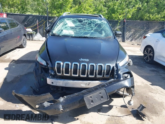 2014 Jeep Cherokee Limited with VIN 1C4PJLDB1EW204545, listed as a IAAI auction lot 42261081 with 260,164 mi miles and . Bid and sale history available at DreamBid. Image 12.