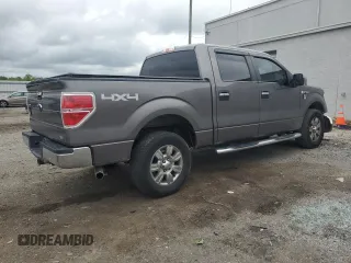 2010 Ford F-150 XL with VIN 1FTFW1EVXAFA58084, listed as a Copart auction lot 54670295 with 134,761 mi miles and Clean title. Bid and sale history available at DreamBid. Image 3.