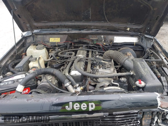 1994 Jeep Cherokee Sport with VIN 1J4FJ68S1RL160023, listed as a IAAI auction lot 41968610 with 255,978 mi miles. Bid and sale history available at carsss.com. Image 10.