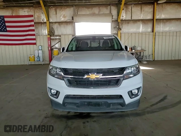 2017 Chevrolet Colorado 2WD LT with VIN 1GCGSCEN5H1144521, listed as a Copart auction lot 50380795 with 115,294 mi miles and Salvage title. Bid and sale history available at DreamBid. Image 11.