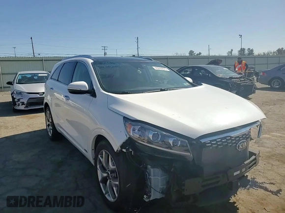 2019 Kia Sorento SX Limited with VIN 5XYPKDA50KG503521, listed as a Copart auction lot 48283975 with 67,320 mi miles and Salvage Title. Bid and sale history available at carsss.com. Image 12.