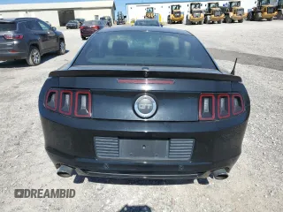 2013 Ford Mustang GT with VIN 1ZVBP8CF6D5248746, listed as a Copart auction lot 49592435 with Not Provided miles and Salvage Title. Bid and sale history available at carsss.com. Image 6.