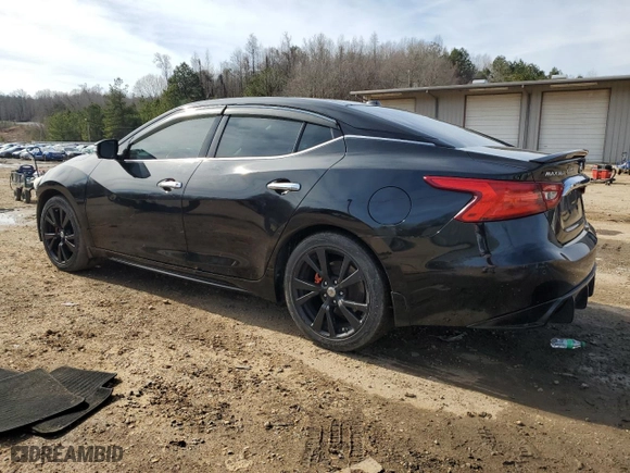 2016 Nissan Maxima 3.5 Platinum with VIN 1N4AA6AP1GC394042, listed as a Copart auction lot 42498095 with 256,403 mi miles and Salvage Title. Bid and sale history available at carsss.com. Image 2.