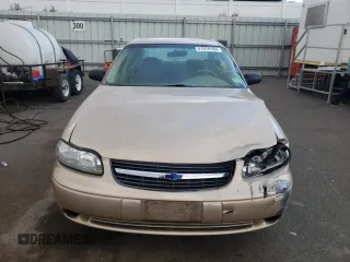 2001 Chevrolet Malibu with VIN 1G1ND52J11M611817, listed as a Copart auction lot 81978184 with 81,150 mi miles and Salvage Title. Bid and sale history available at carsss.com. Image 5.