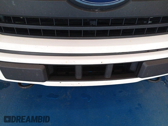 2020 Ford F-150 XL with VIN 1FTEX1EP1LKE45885, listed as a IAAI auction lot 42679224 with 124,413 mi miles and . Bid and sale history available at DreamBid. Image 25.