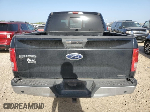 2016 Ford F-150 XLT with VIN 1FTEW1C82GKE31076, listed as a Copart auction lot 49162425 with 143,121 mi miles and Salvage title. Bid and sale history available at DreamBid. Image 6.