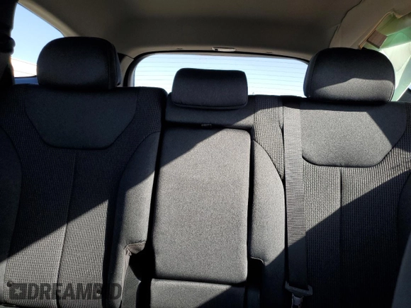 2020 Hyundai Santa Fe SE with VIN 5NMS2CAD1LH199165, listed as a Copart auction lot 54455865 with 27,688 mi miles and Salvage title. Bid and sale history available at DreamBid. Image 10.