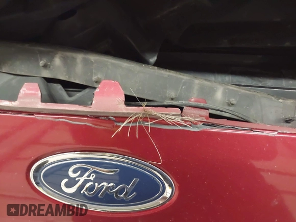 2015 Ford Focus Titanium с VIN 1FADP3N20FL220681, выставлен на аукционе IAAI как лот 42147480 с пробегом 118 778 миль миль и . История ставок и продаж доступна на DreamBid. Изображение 13.