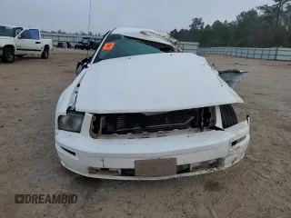 2006 Ford Mustang GT Deluxe with VIN 1ZVHT82H665248483, listed as a Copart auction lot 43163155 with 0 mi miles and Salvage Title. Bid and sale history available at carsss.com. Image 5.