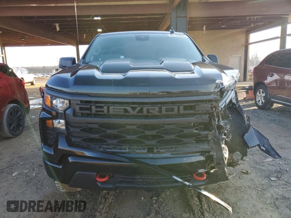 2024 Chevrolet Silverado 1500 Custom Trail Boss with VIN 3GCUDCED4RG307697, listed as a Copart auction lot 42723085 with 4,847 mi miles and Salvage Title. Bid and sale history available at carsss.com. Image 5.