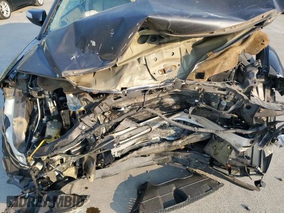 2009 Acura RDX Technology with VIN 5J8TB18589A002925, listed as a Copart auction lot 62224635 with Not provided miles and Salvage title. Bid and sale history available at DreamBid. Image 12.
