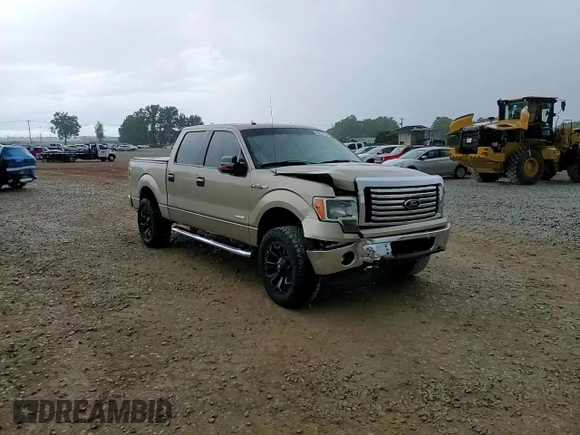 2012 Ford F-150 XL with VIN 1FTFW1ET5CFC30264, listed as a Copart auction lot 55231195 with 272,270 mi miles and Salvage title. Bid and sale history available at DreamBid. Image 13.