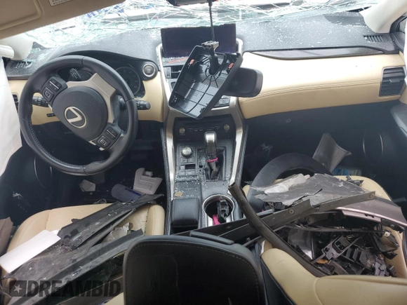 2018 Lexus NX 300 with VIN JTJYARBZ9J2100021, listed as a Copart auction lot 62465225 with Not provided miles and Salvage title. Bid and sale history available at DreamBid. Image 8.