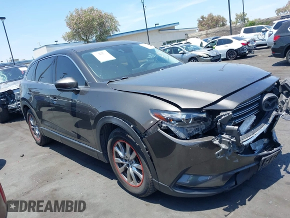 2017 Mazda CX-9 Touring with VIN JM3TCBCY1H0131233, listed as a IAAI auction lot 42490137 with 84,216 mi miles and . Bid and sale history available at DreamBid. Image 13.