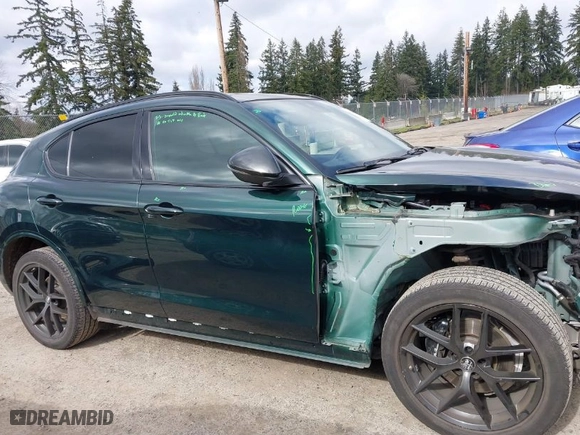 2020 Alfa Romeo Stelvio Ti with VIN ZASPAKBNXL7C75314, listed as a IAAI auction lot 41742922 with 34,620 mi miles. Bid and sale history available at carsss.com. Image 14.