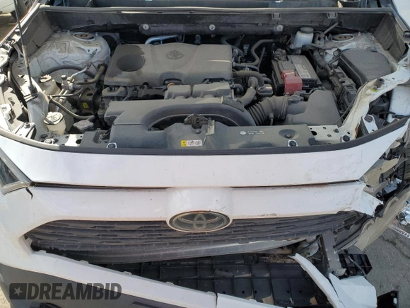 2019 Toyota RAV4 LE with VIN 2T3F1RFV5KC010487, listed as a Copart auction lot 47441605 with 123,842 mi miles and Clean Title. Bid and sale history available at carsss.com. Image 12.