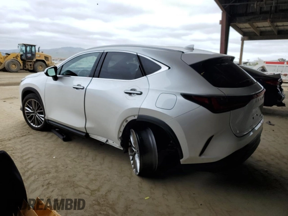 2025 Lexus NX 350 Premium with VIN JTJGGCEZ4S5010472, listed as a Copart auction lot 54560975 with 9,587 mi miles and Salvage title. Bid and sale history available at DreamBid. Image 2.