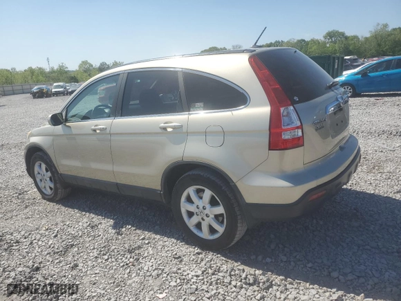 2008 Honda CR-V EX-L with VIN 5J6RE38738L009419, listed as a Copart auction lot 53494535 with 217,504 mi miles and Clean Title. Bid and sale history available at carsss.com. Image 2.