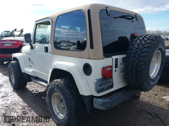 2002 Jeep Wrangler Sahara with VIN 1J4FA59S02P760345, listed as a IAAI auction lot 41634902 with 123,506 mi miles. Bid and sale history available at carsss.com. Image 3.