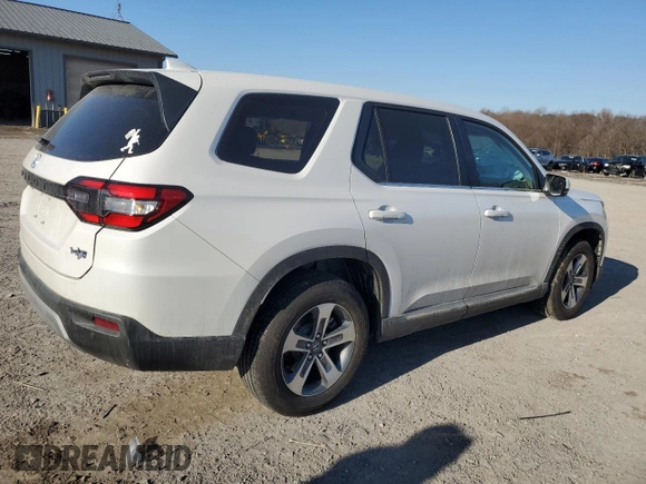 2025 Honda Pilot EX-L with VIN 5FNYG1H49SB016651, listed as a Copart auction lot 43336555 with 0 mi miles and Salvage Title. Bid and sale history available at carsss.com. Image 3.